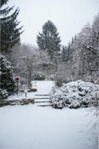 unser Garten im Winter